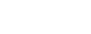 bitnet infotech logo web and mobile app development company